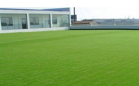 浙江塑胶跑道材料厂